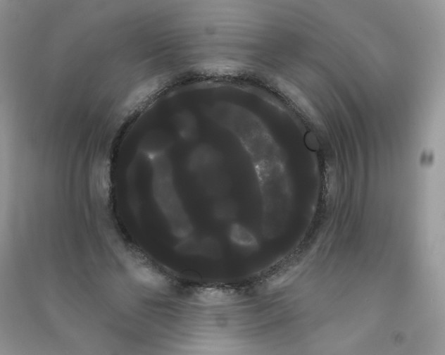 X0000090710494200708171909