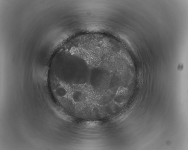 X0000090710495200708171909