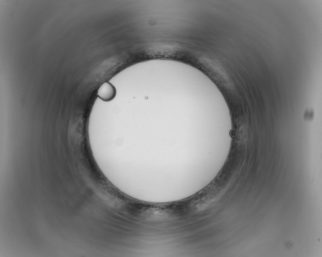 X0000090710498200708171909