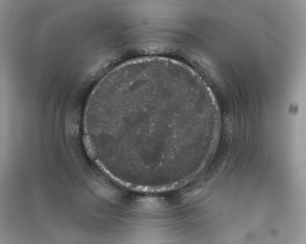 X0000090710499200708171909