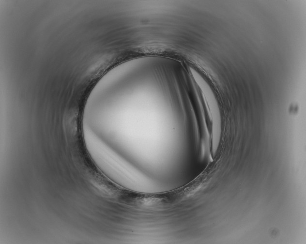 X0000090710501200708171909