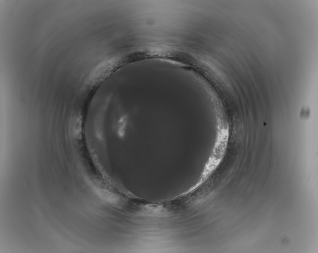 X0000090710502200708171909