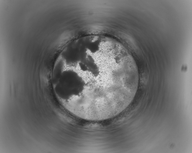 X0000090710503200708171909