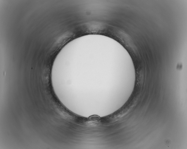 X0000090710505200708171909