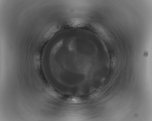 X0000090710506200708171909