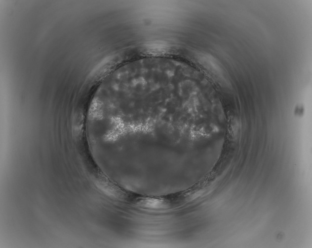 X0000090710507200708171909