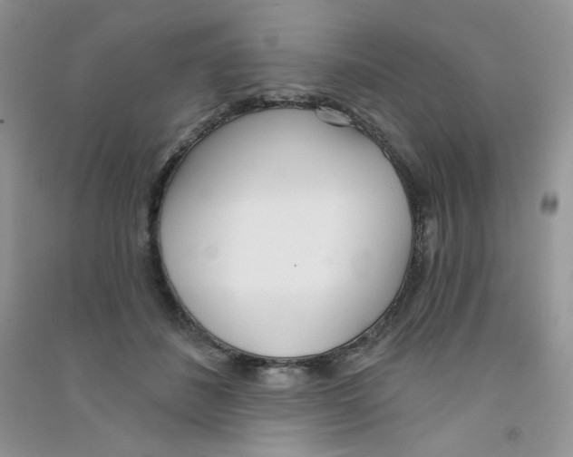 X0000090710508200708171909