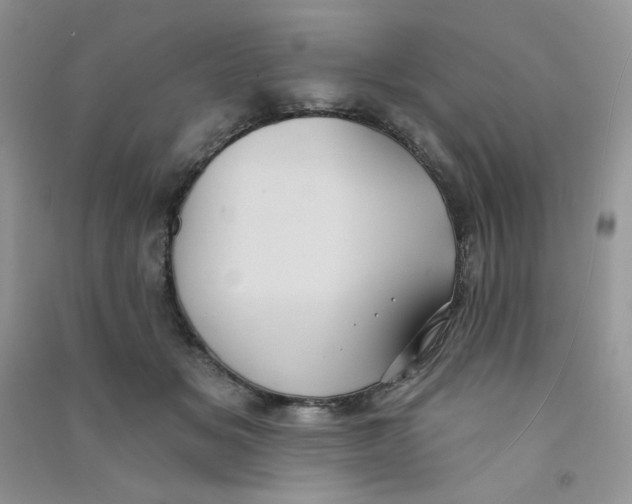 X0000090710509200708171909