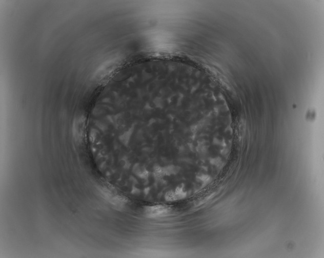 X0000090710511200708171909