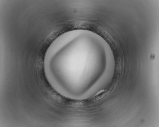 X0000090710513200708171909