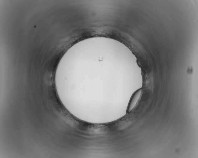 X0000090710514200708171909