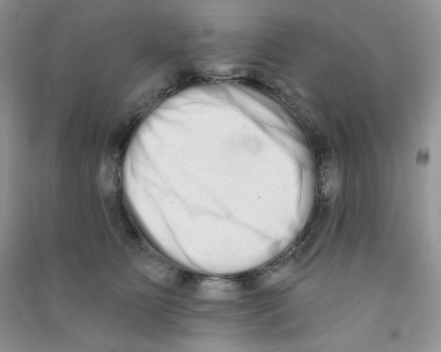 X0000090710515200708171909