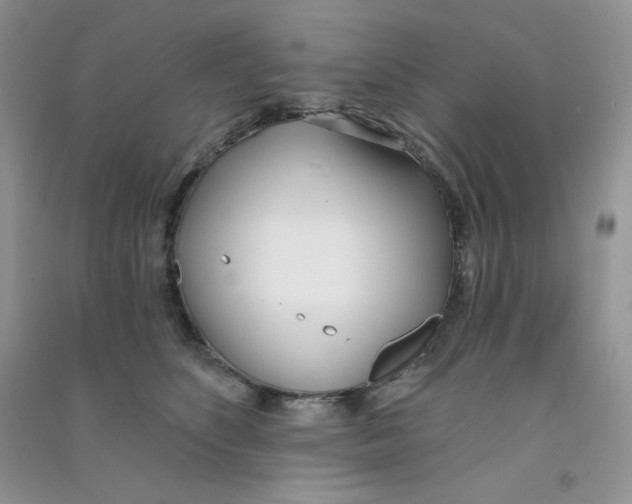 X0000090710516200708171909