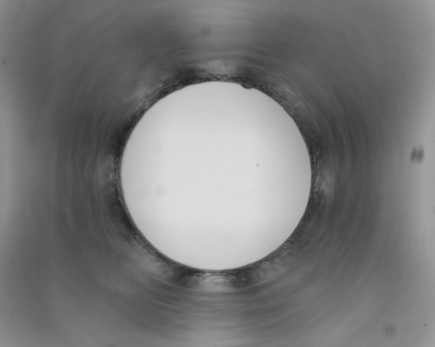 X0000090710518200708171909