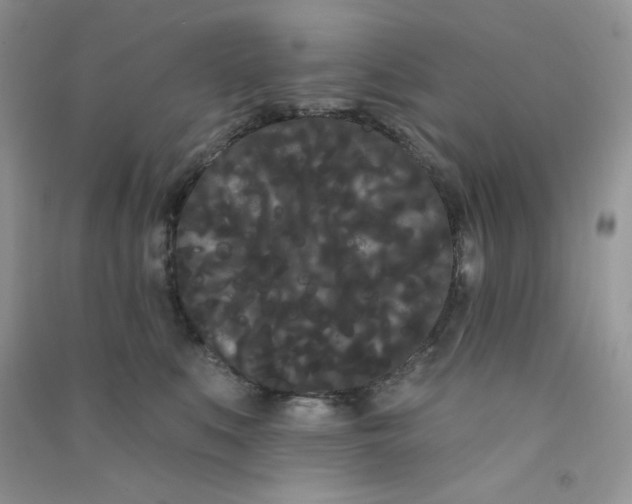 X0000090710519200708171909