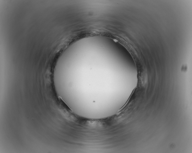 X0000090710520200708171909