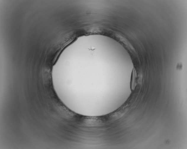 X0000090710521200708171909