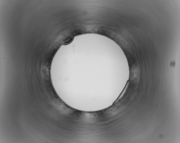 X0000090710522200708171909