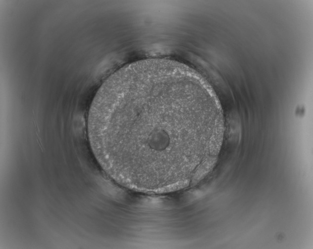 X0000090710523200708171909