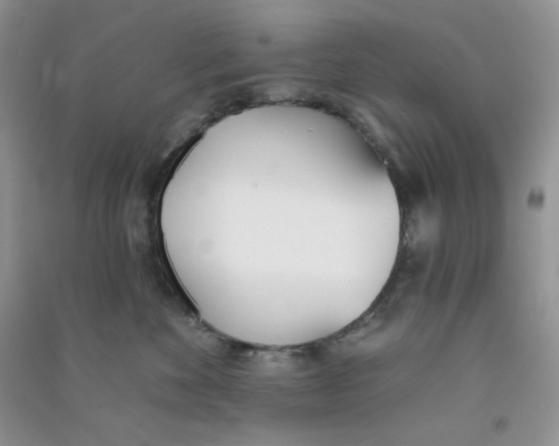 X0000090710524200708171909