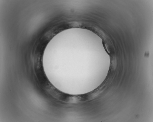 X0000090710525200708171909