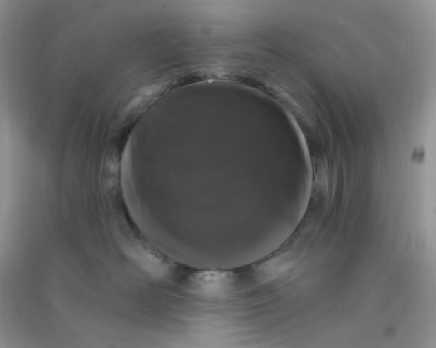 X0000090710526200708171909