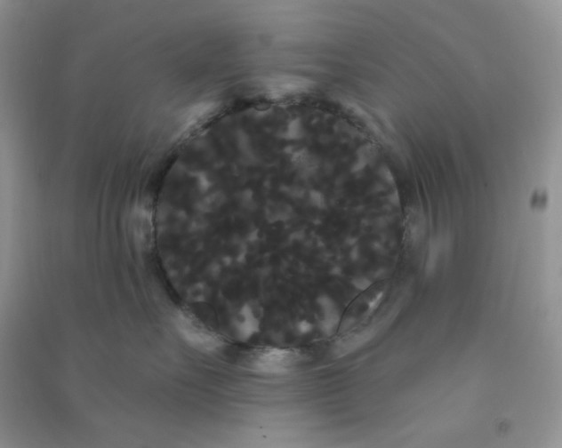 X0000090710527200708171909