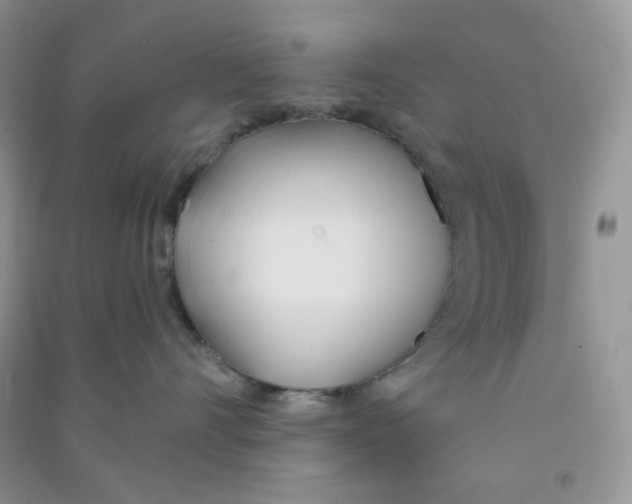 X0000090710528200708171909