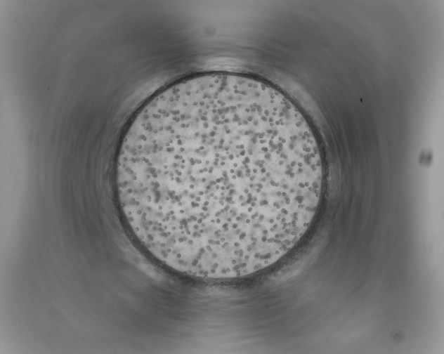 X0000090710529200708171908
