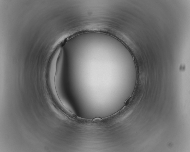 X0000090710530200708171908