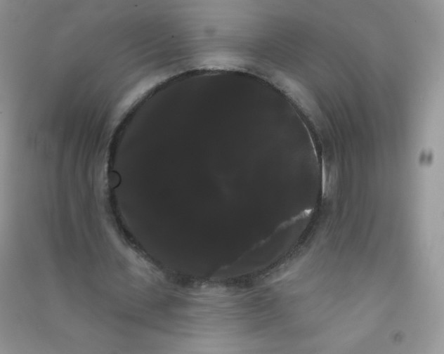 X0000090710531200708171908