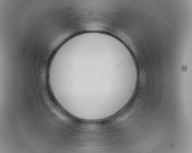 X0000090710533200708171908