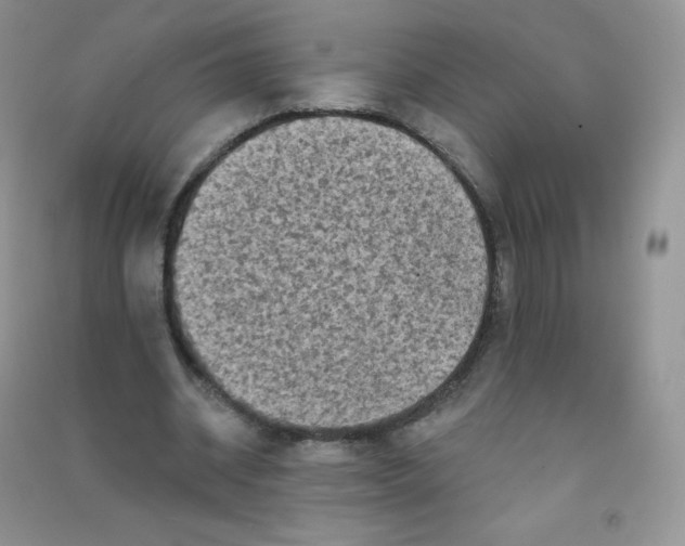 X0000090710534200708171908