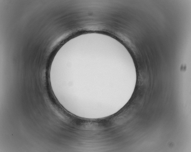 X0000090710535200708171908