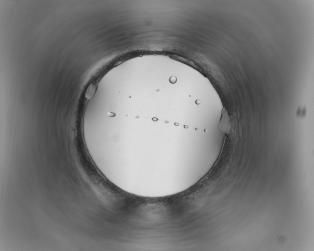 X0000090710536200708171908