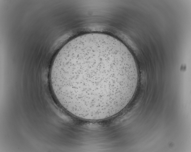 X0000090710537200708171908