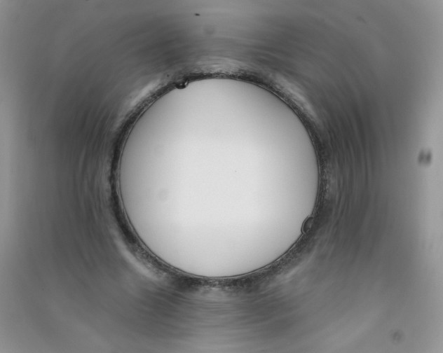 X0000090710538200708171908