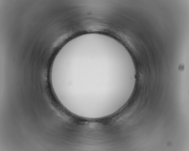 X0000090710539200708171908