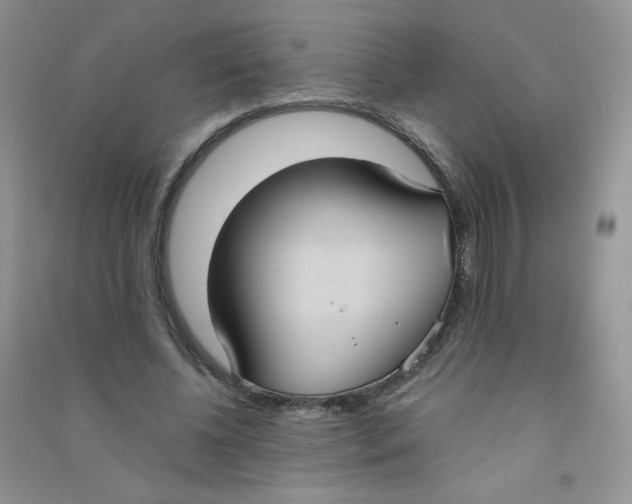 X0000090710540200708171908