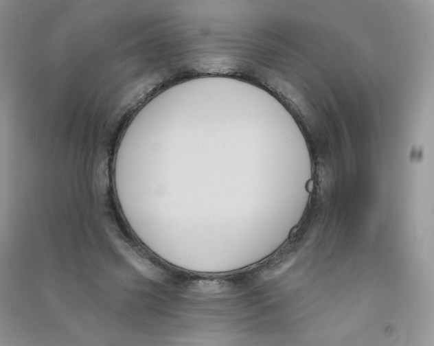 X0000090710541200708171908