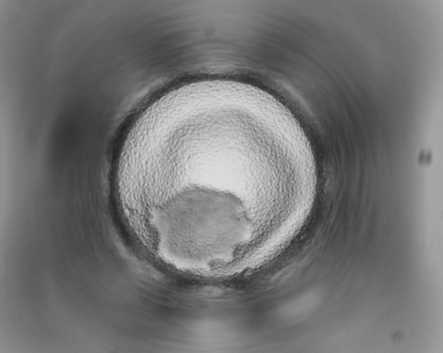 X0000090710542200708171908