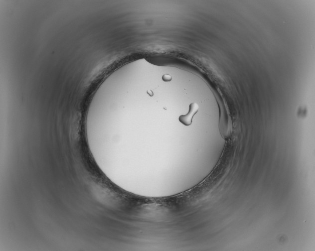 X0000090710544200708171908