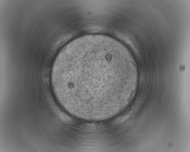 X0000090710545200708171908