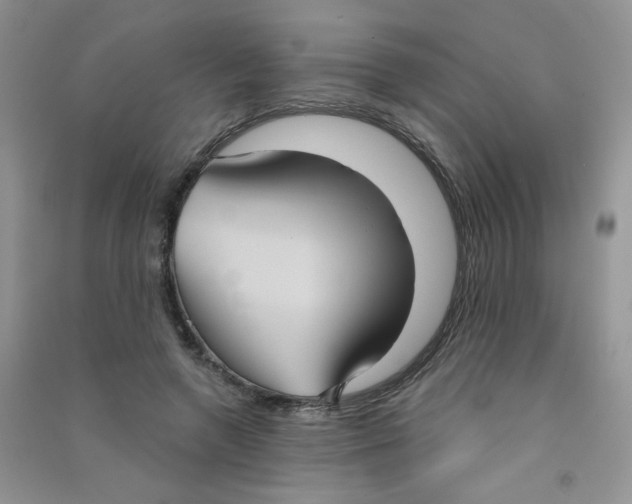 X0000090710546200708171908