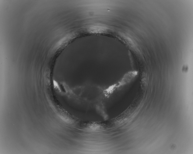 X0000090710547200708171908