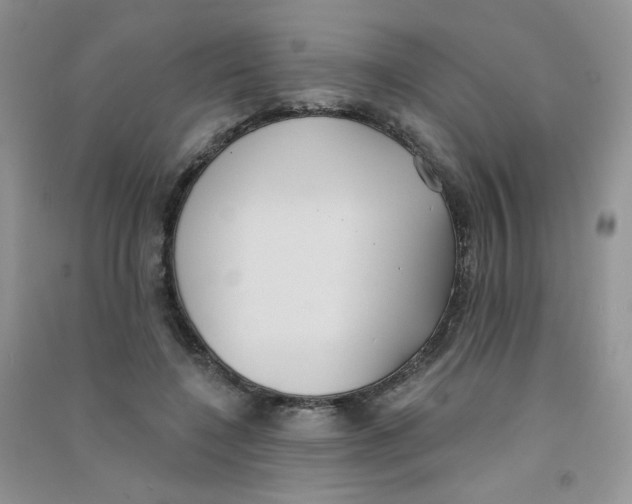 X0000090710548200708171908