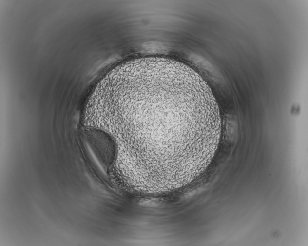 X0000090710550200708171908