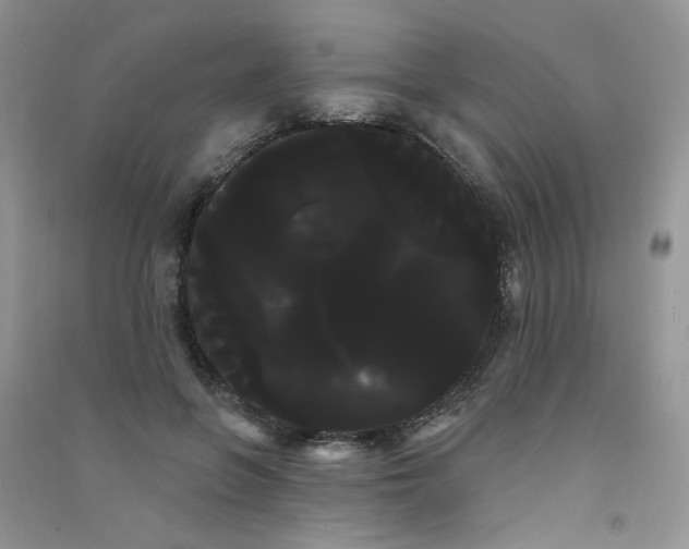 X0000090710551200708171908