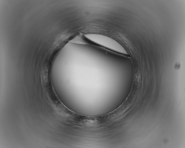 X0000090710552200708171908