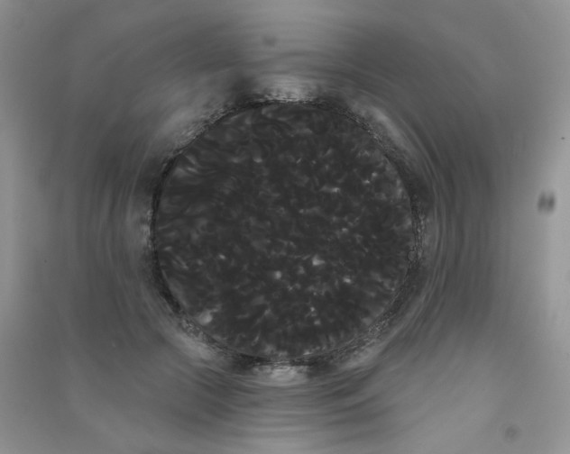 X0000090710553200708171908